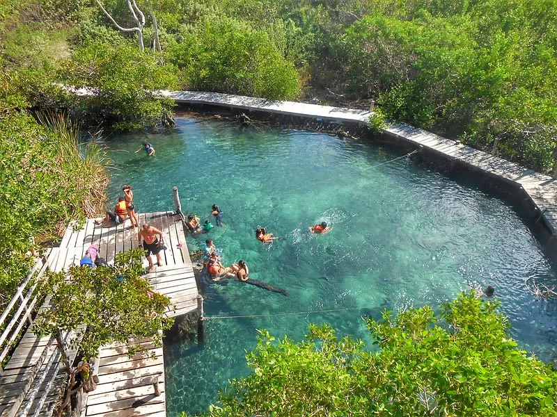 Clear freshwater pool at Yalahau cenote near Holbox Island