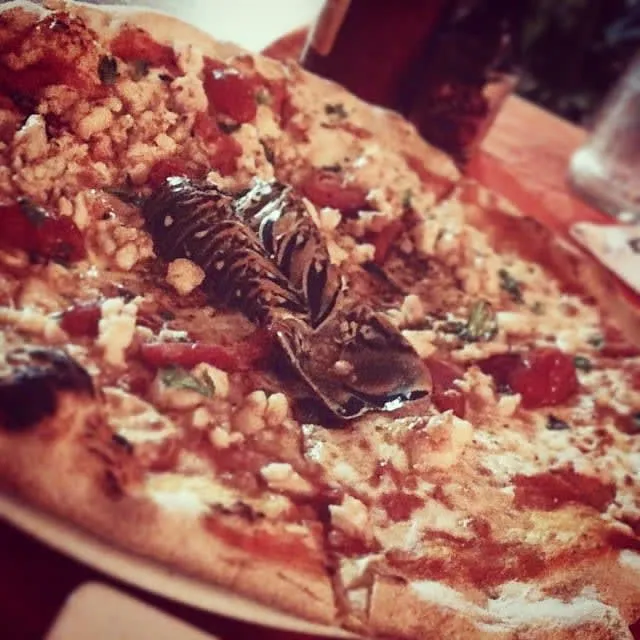 Lobster pizza served at a Holbox restaurant after a beach day