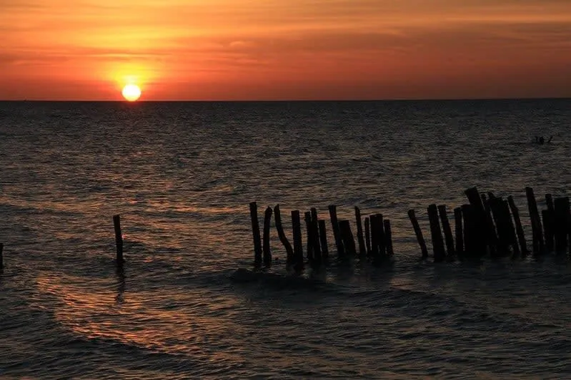 Pink sunset over the calm shoreline of Holbox Island