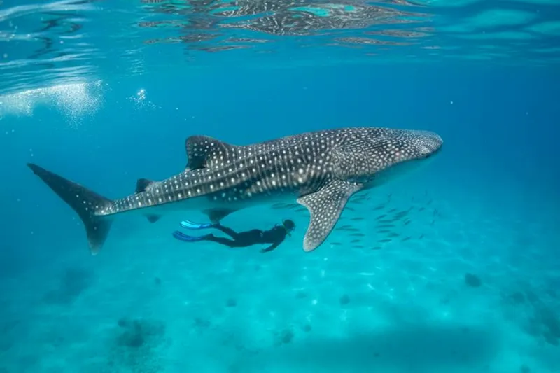 Holbox in February with shallow turquoise water and palapas during the dry season