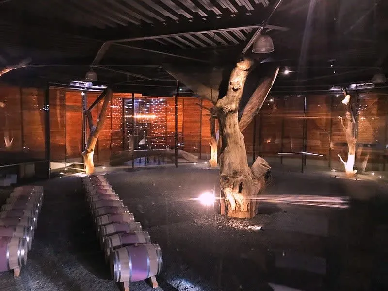 Hotel Bruma exterior with contemporary architecture and vineyards in Valle de Guadalupe