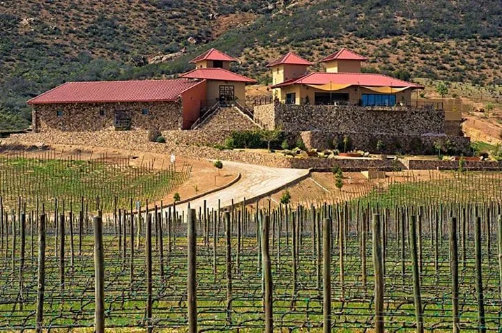 Best Hotels in Valle de Guadalupe 2026: Vineyard Stays Ranked