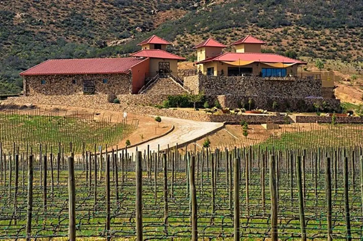 Best Hotels in Valle de Guadalupe 2026: Vineyard Stays Ranked