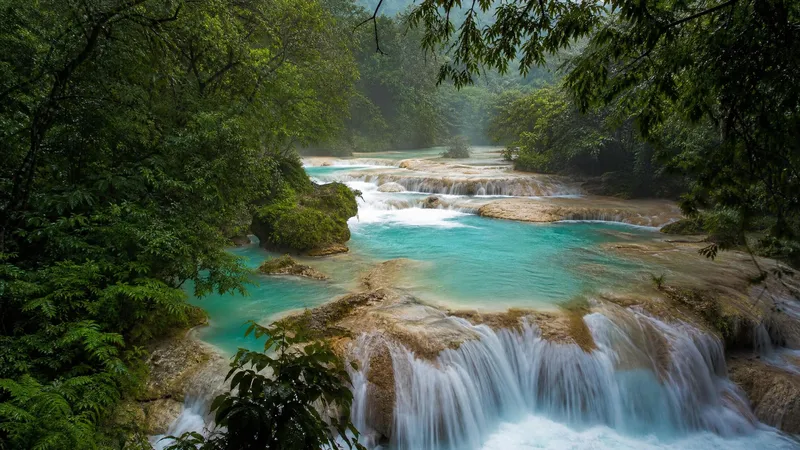 Turquoise Huasteca Potosina waterfall basin framed by bright green jungle