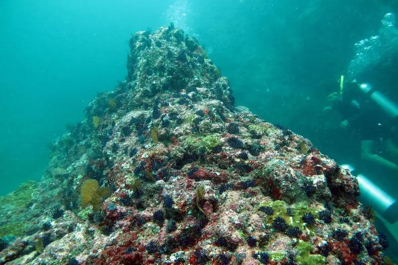 Huatulco coastline in November for snorkeling, diving, and resort stays near the bays