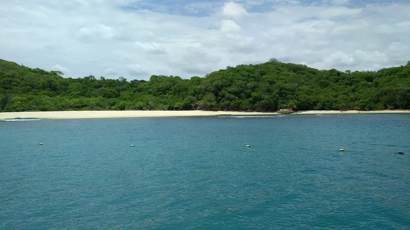 Palm-lined Huatulco beach facing calm Pacific water and green coastal hills