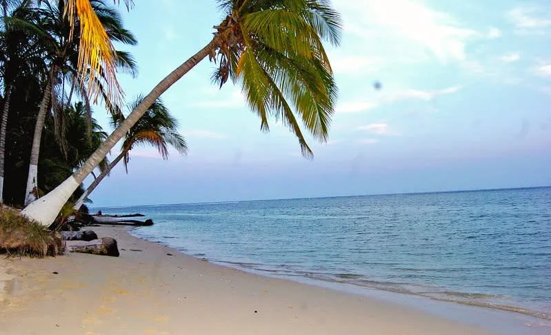 Clear shallow water and palms on Isla Lobos off northern Veracruz