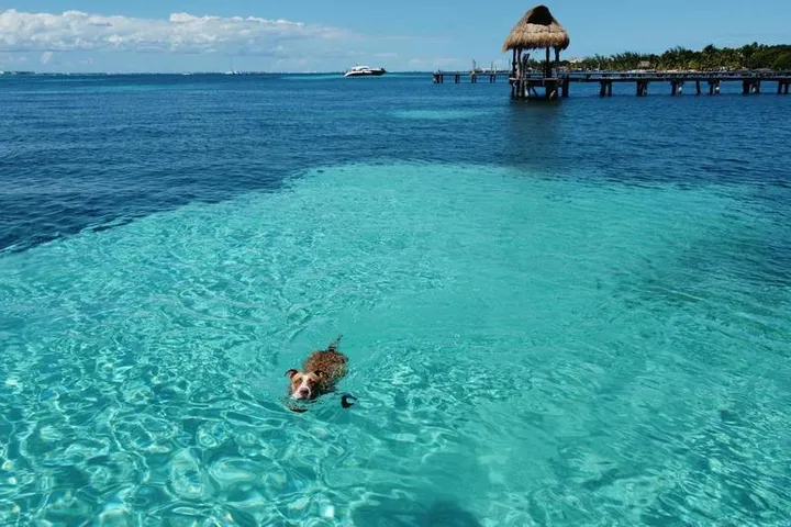 Day Trips from Cancun 2026: 15 Best Excursions Ranked