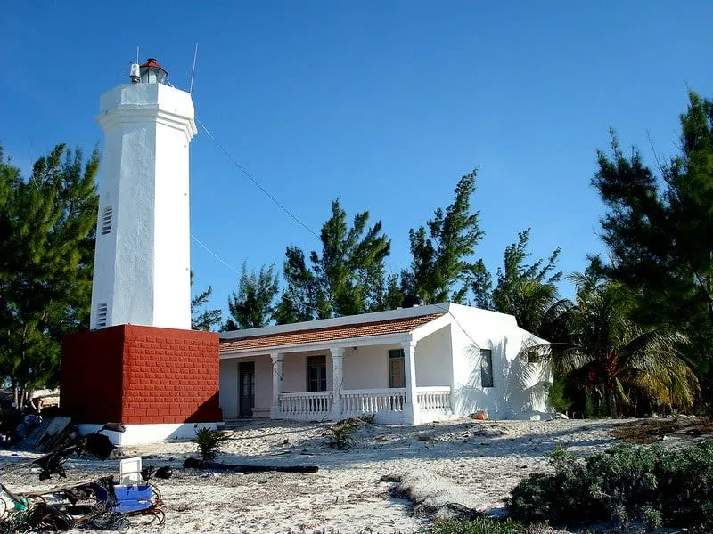 Open Caribbean water near Isla Mujeres where July whale shark tours search offshore