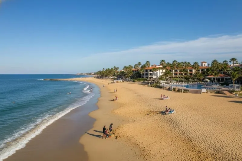 Palm trees and beachfront resort towers beside a sandy Pacific shoreline