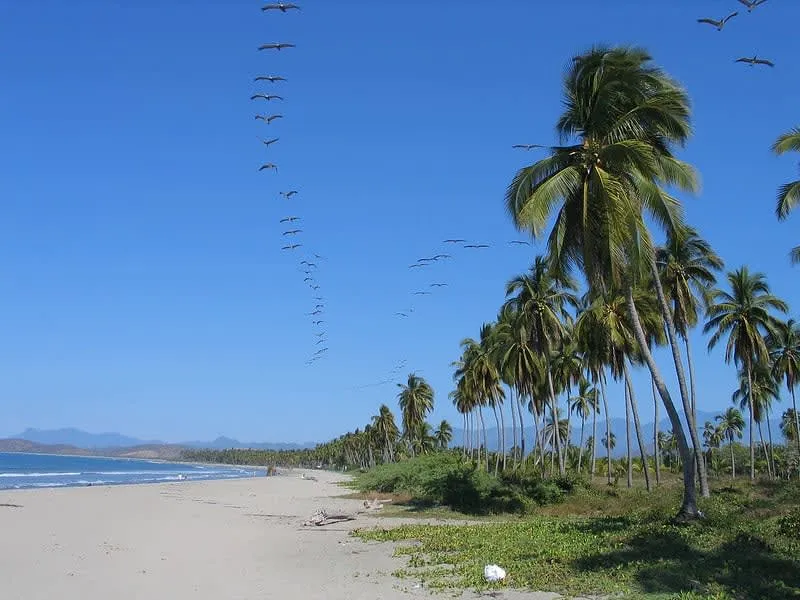 Playa Linda near Ixtapa in August with Pacific beach access, Isla Ixtapa boat plans, and rainy-season timing
