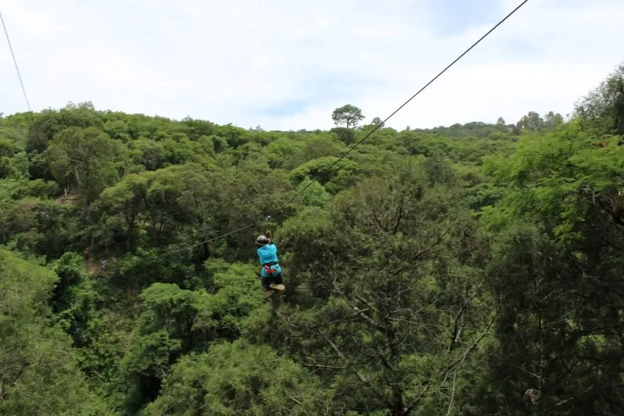 Zip line and adventure course crossing the forest at Las Peñas Rodriguez
