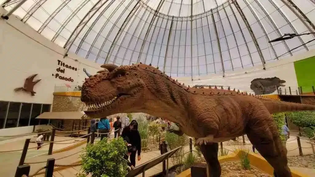 juarez mexico — Ciudad Juarez Mexico