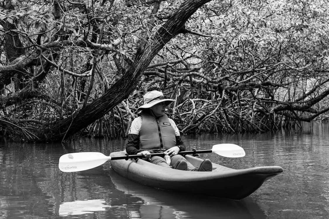 Kayaking through mangrove lagoon in tropical Mexico — clear green water with dense mangrove roots creating tunnels of light, similar to Laguna Nichupté in Cancun
