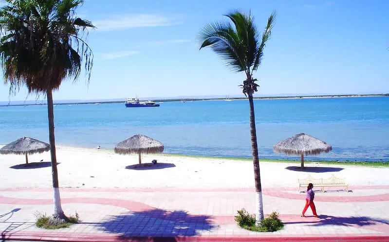 Palm-lined seaside boardwalk with the bay and hills behind