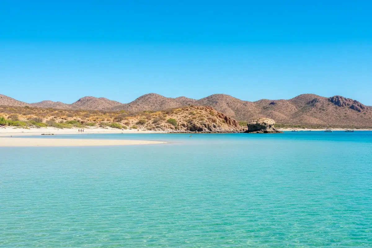 La Paz in March: Whale Sharks, Balandra & Baja Tips