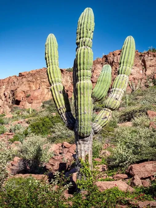 la ventana desert — La Ventana Mexico