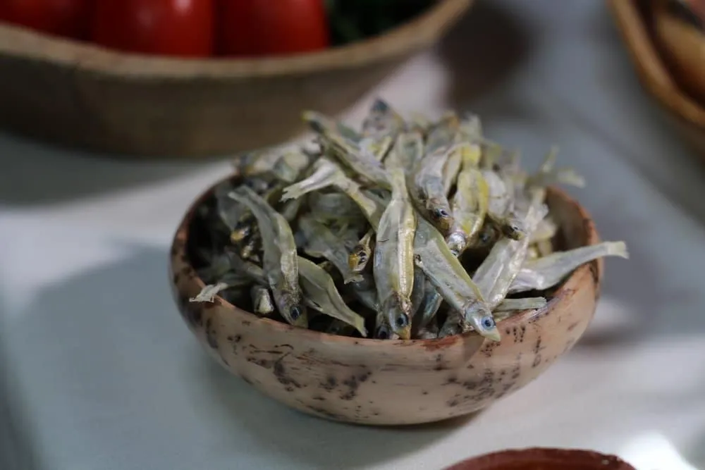 lake chapala — Lake Chapala Mexico