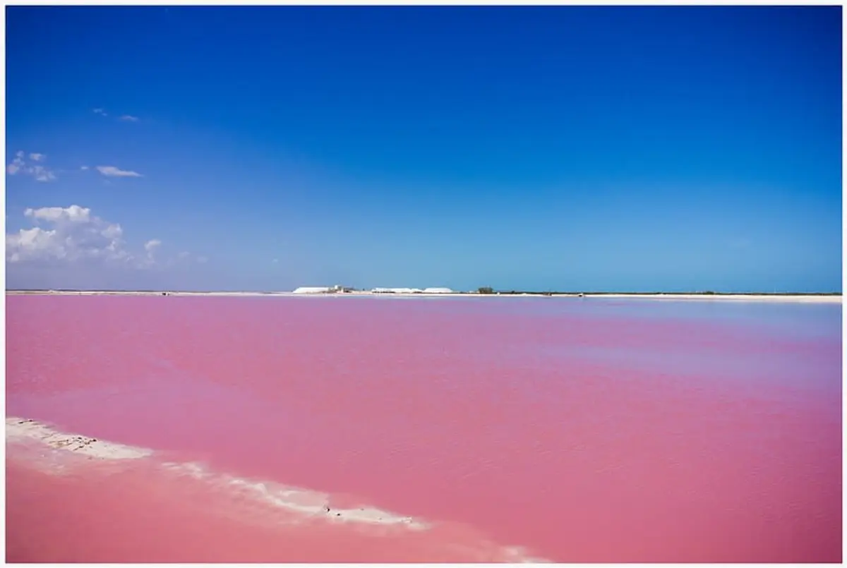 Exploring the Enchanting Las Coloradas Lagoon in Yucatan