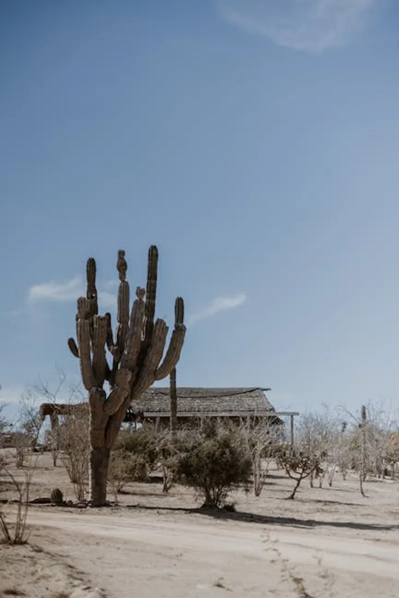 Baja desert road with dry hills and open sky between Sea of Cortez travel bases