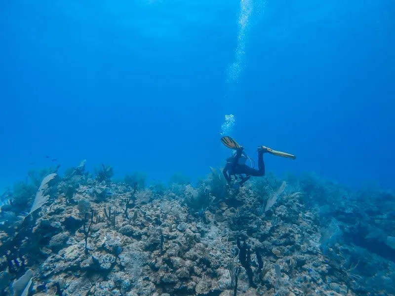 diving mahahual — Mahahual Beach Mexico
