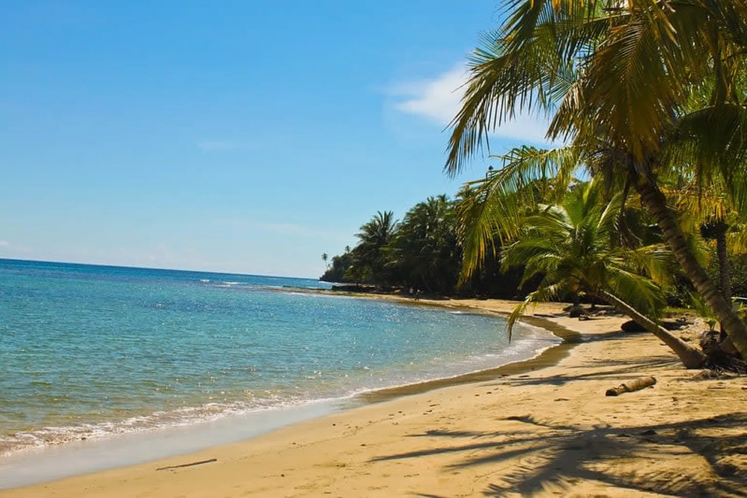 Manzanillo bay and palm-lined Pacific beach under clear January dry-season light