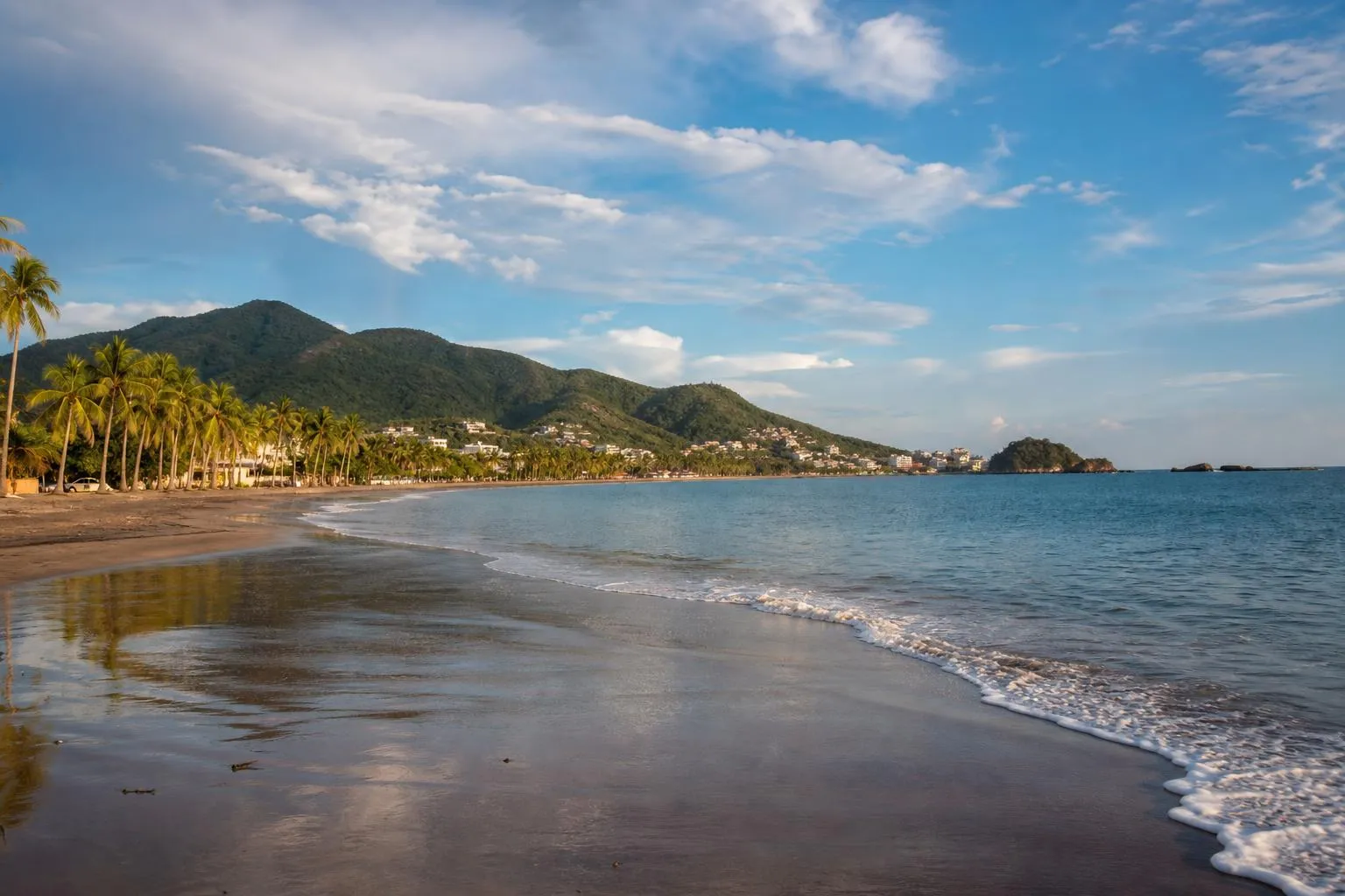 Manzanillo bay with palm-lined Pacific beach, green Colima hills, and clear November light