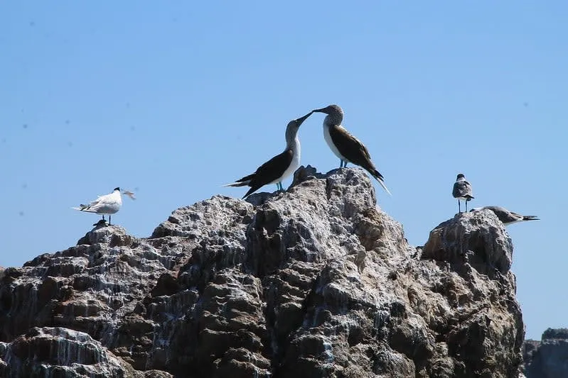 marietas islands hidden beach