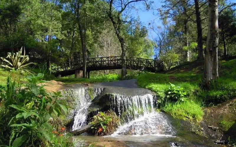 Small waterfall and wooden footbridge in a forested park near Mazamitla