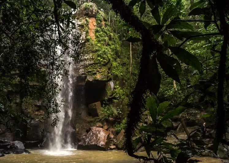 El Salto waterfall dropping through green forest near Mazamitla