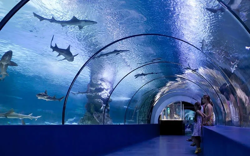 Mazatlán aquarium entrance as an indoor-friendly family option during rainy season