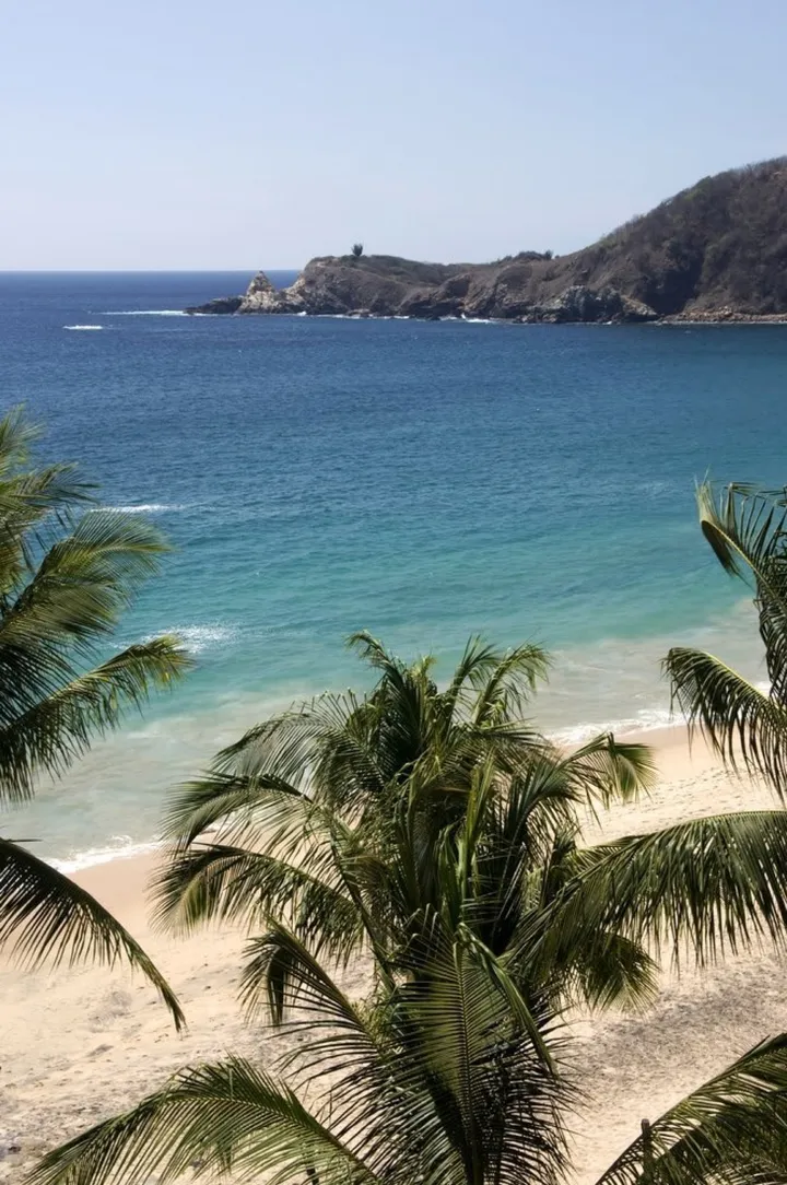 Mazunte in November: Weather, Turtles & Tips