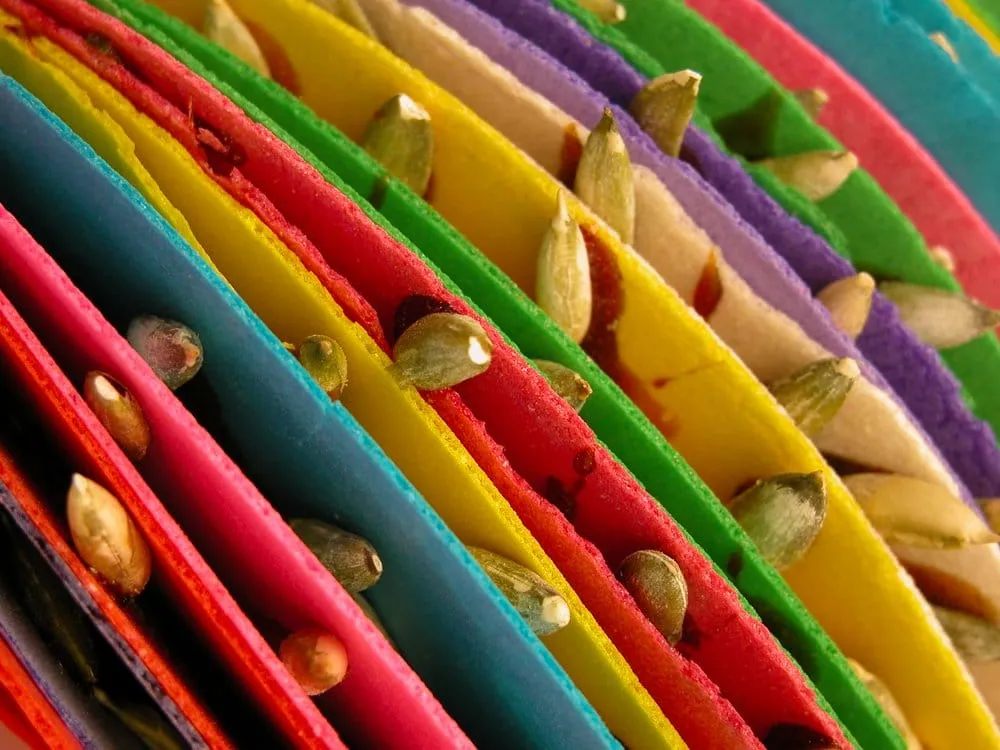 Colorful pepitoria wafers stacked with pumpkin seeds and piloncillo syrup