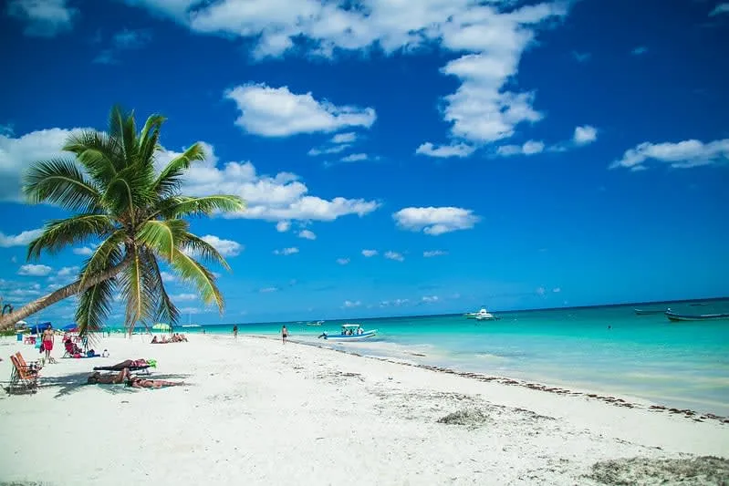 Calm Akumal shoreline with clear water where snorkelers look for sea turtles