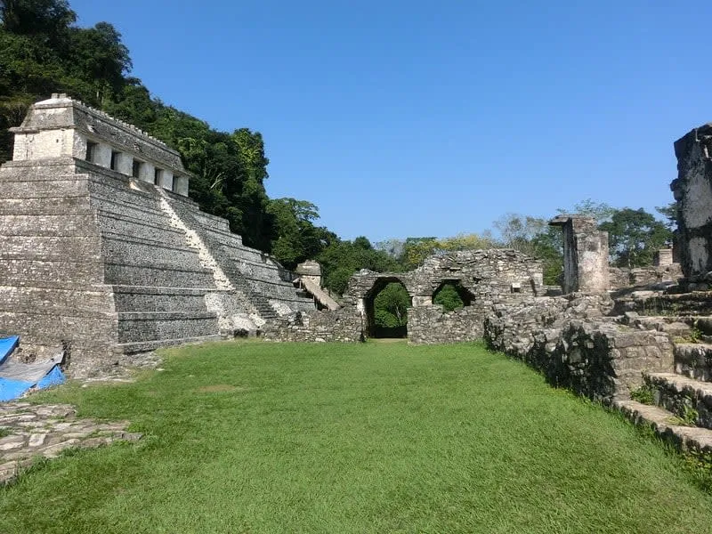 Maya ruins surrounded by jungle in Palenque