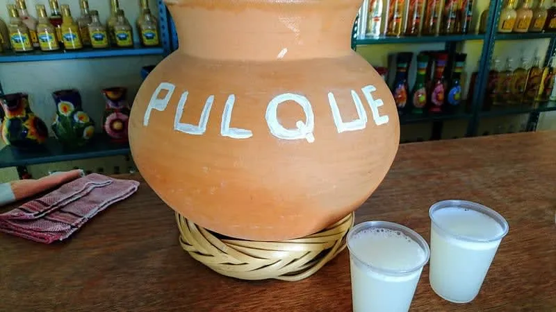 Pulque in a traditional clay cup — Mexico's ancient fermented maguey drink with 4-8% ABV