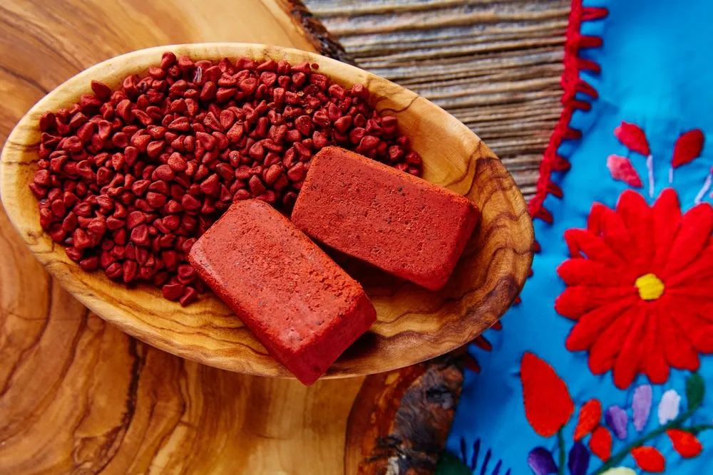Achiote seeds and red seasoning paste used in Yucatan dishes