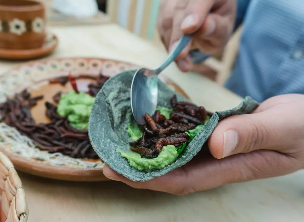 Mezcal worms and agave ingredients used in traditional cooking