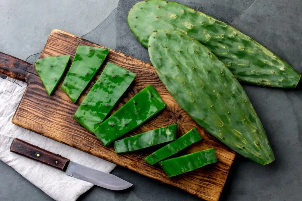 Fresh nopal cactus paddles prepared for salads and stews