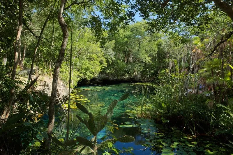 Dos Ojos cenote near Tulum — underwater cave system with stalactites and crystal clear water