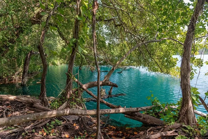 Cenote Azul near Bacalar — vast open cenote with majestic caverns and turquoise water next to the seven-color lagoon