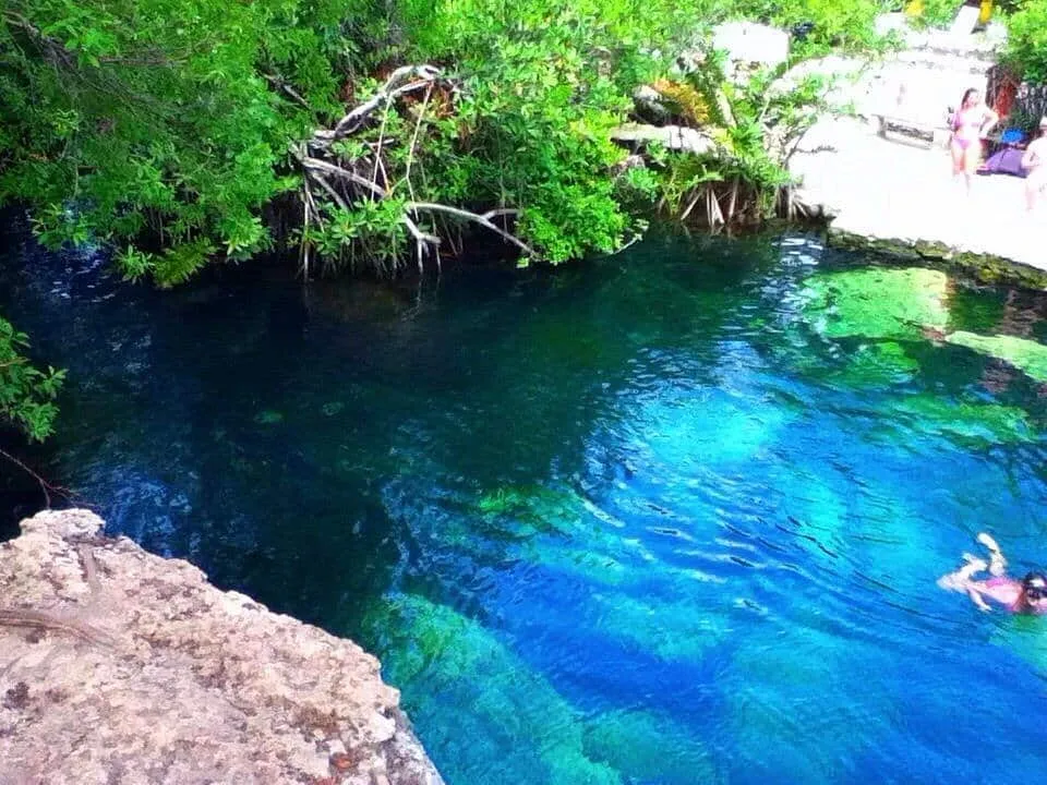 Cenote Cristalino near Playa del Carmen — open pool with colourful fish visible in clear shallow water