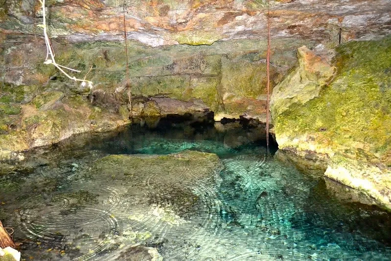 Tajma Ha cenote near Playa del Carmen — halocline columns creating layered visual effect in crystal water