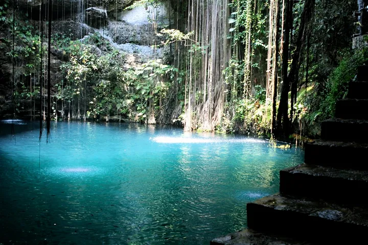 Best Cenotes in Mexico 2026: 27 Top Picks by Location