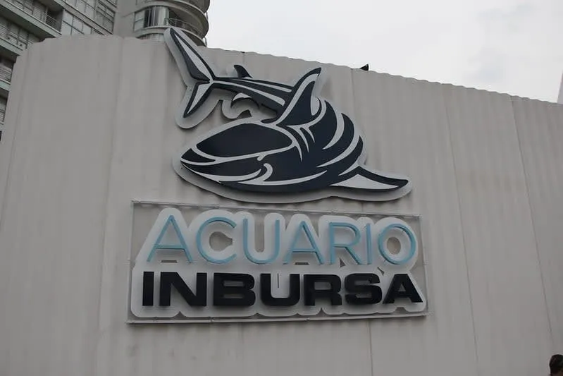 Mexico City street scene near the Inbursa Aquarium area
