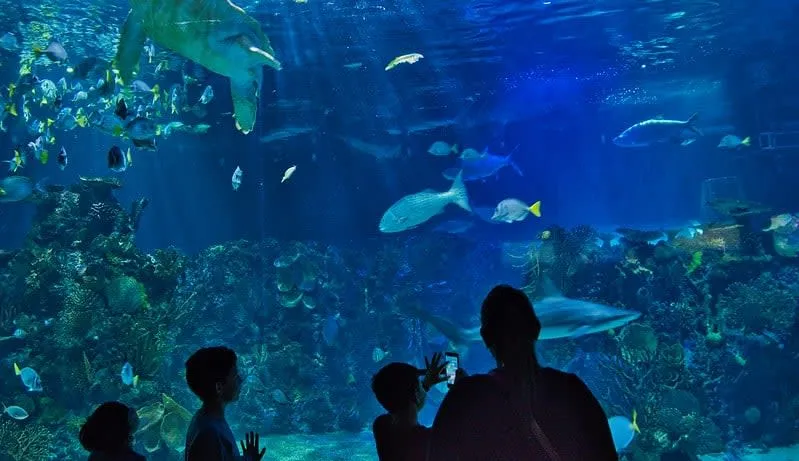 Exterior of Inbursa Aquarium beside a landscaped Mexico City park