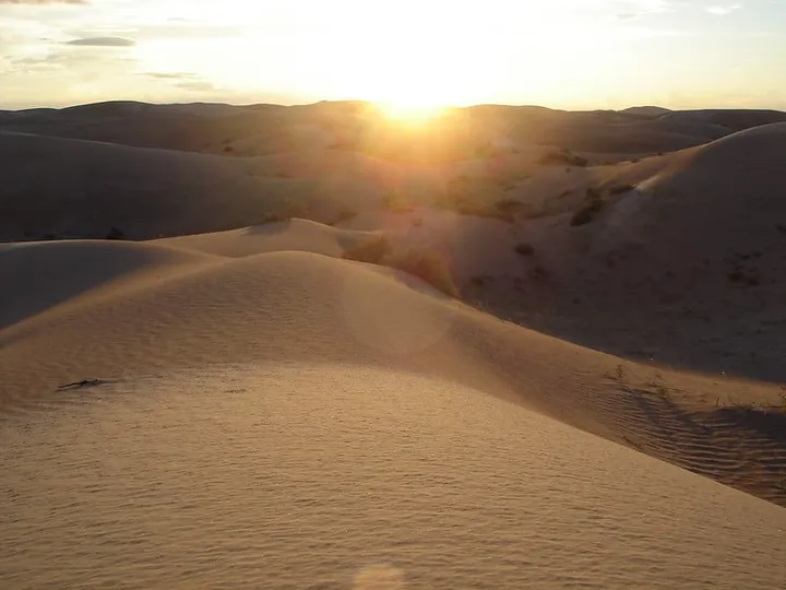 Samalayuca Dune Fields: A Mysterious Paradise in the Desert