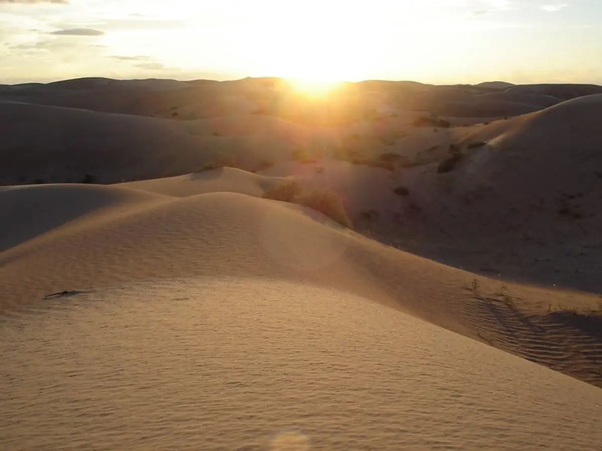 Samalayuca Dune Fields: A Mysterious Paradise in the Desert
