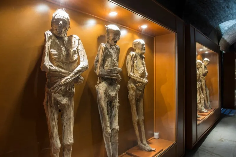 Naturally mummified bodies in the Museo de las Momias de Guanajuato, Mexico