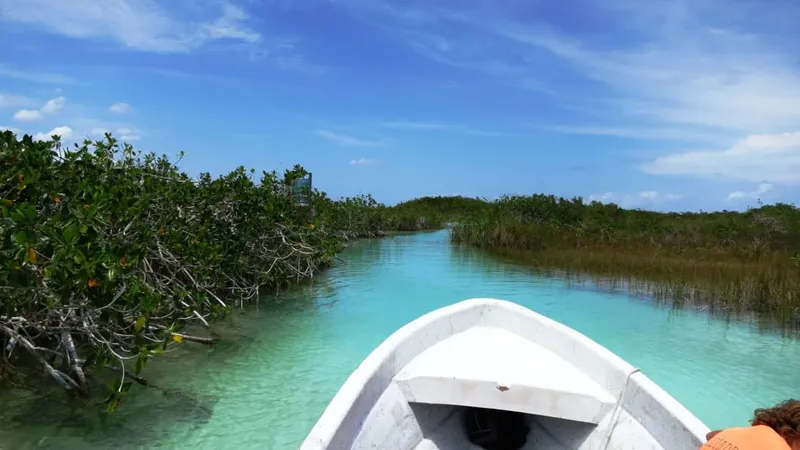 Green jungle surrounding clear blue lagoon water below a bright sky